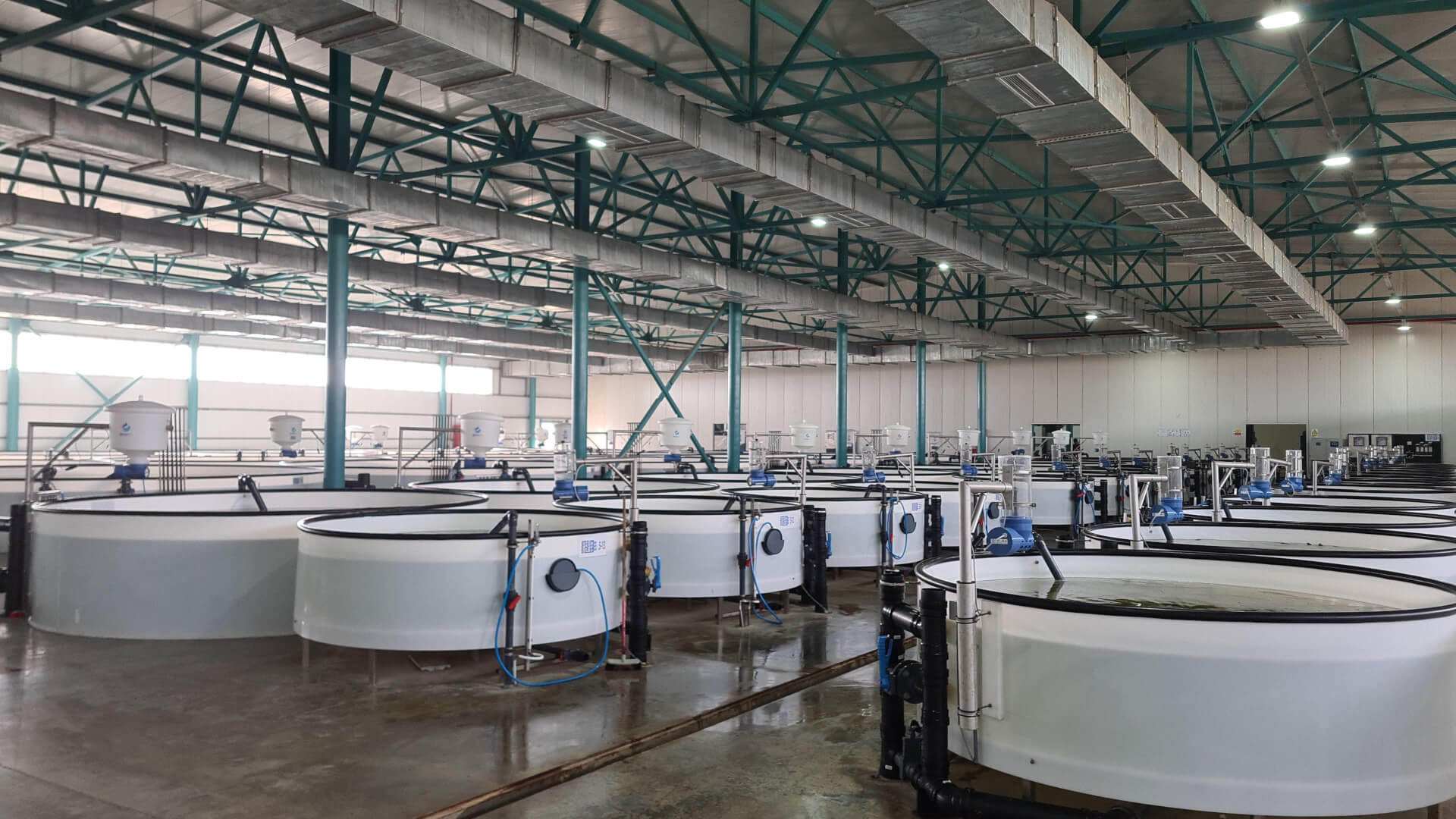 Azerbaijan Fish Farm HESY Aquaculture