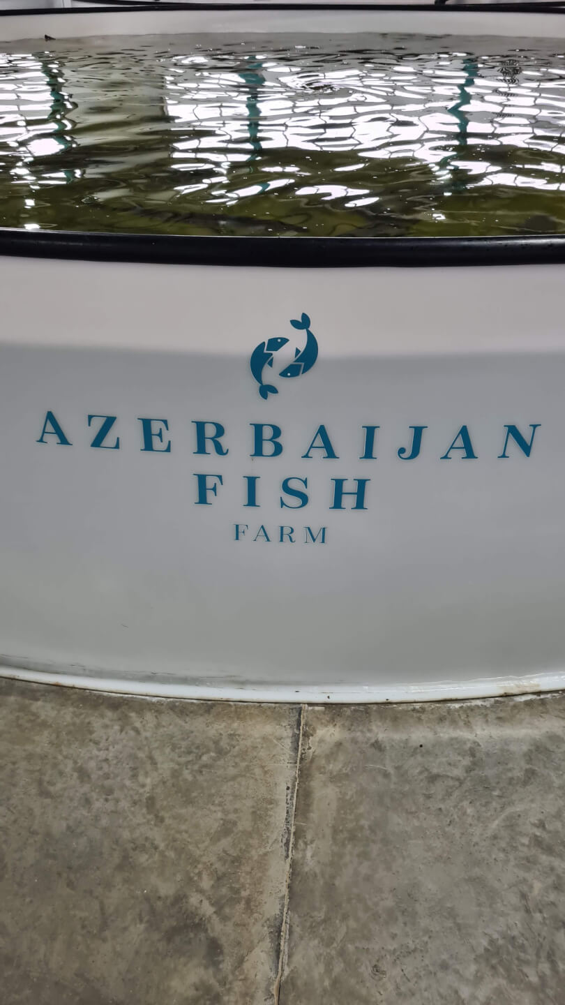 Azerbaijan Fish Farm HESY Aquaculture